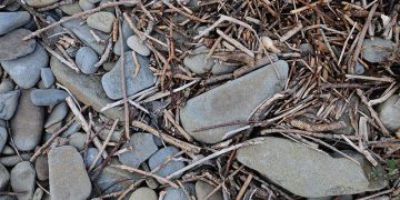 Sticks and stones blog post by Snake ‘Craig’ Bloomstrand